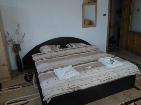  Guest House Jani  Борино